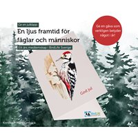 Julklapp - medlemskap i BirdLife Sverige 2024