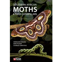 Southern African Moths & Their Caterpillars