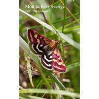 Mottfjärilar i Sverige - en fälthandbok