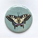 Swallowtail Butterfly Pocket Mirror