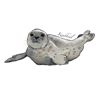 Drybib harbor seal