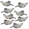 Drybib harbor seal