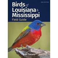 Birds of Louisiana & Mississippi