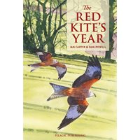 The Red Kite's Year