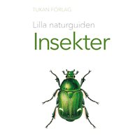 Lilla naturguiden: Insekter