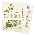 Royal Botanic Garden Edinburgh Set of 3 Midi Notebooks