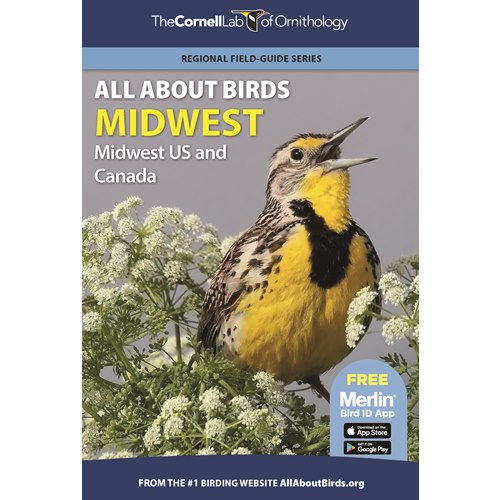 All About Birds Midwest: Midwest US and Canada - Naturbutiken