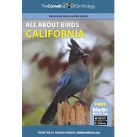 All About Birds California