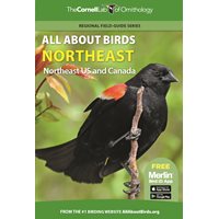 All About Birds Northeast: Northeast US and Canada