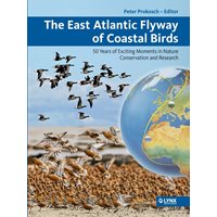 The East Atlantic Flyway of Coastal Birds