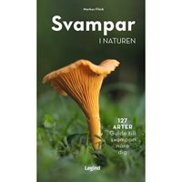 Svampar i naturen