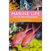 Marine Life of the Mediterranean