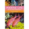 Marine Life of the Mediterranean