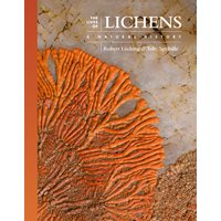 The Lives of Lichens
