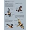 ID Handbook of European Birds 2 volymer