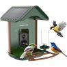 Bird feeder with camera and solar panel