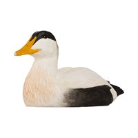 Cap opener Eider