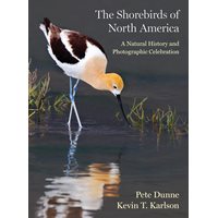 The Shorebirds of North America