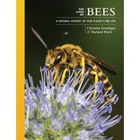 The Lives of Bees