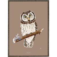 Poster The boreal owl