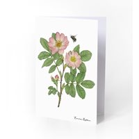Double fold card Rose