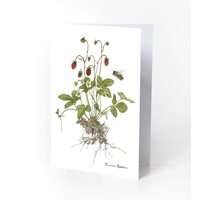 Double folded card wild strawberry flower