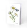 Double fold card daisy