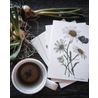 Double fold card daisy