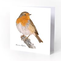 Double folded card robin