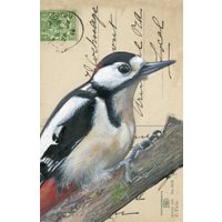 Short woodpecker vintage