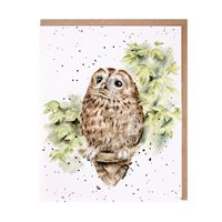 'Treetops' owl card