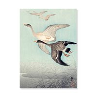 Postcard Great geese in flight