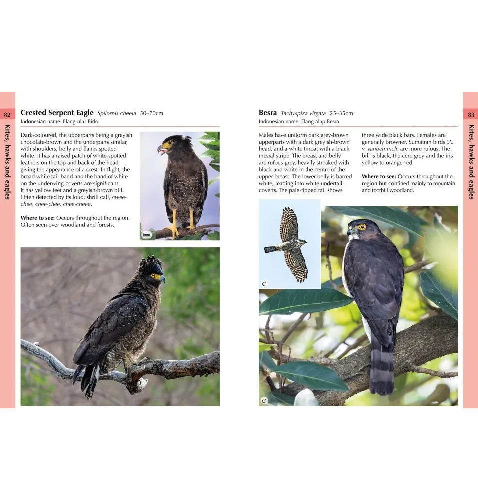 Birds of Bali, Sumatra and Java - Naturbutiken