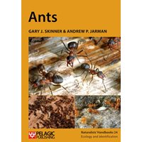 Ants