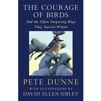 Courage of Birds