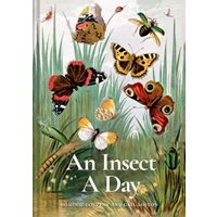 Insect A Day