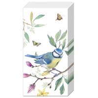 Handkerchief blue tit