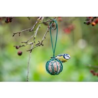 Fat Ball Scoop & Feed