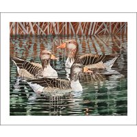 Card Greylags