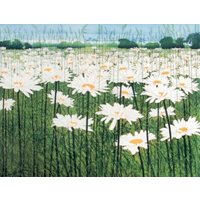 Daisy, Greeting Card