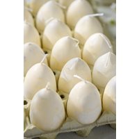 Egg candles paraffin