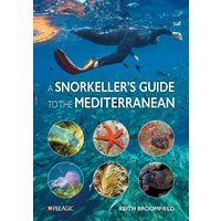 A Snorkeller’s Guide to the Mediterranean