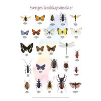 Plansch Sveriges landskapsinsekter