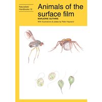 Animals of the Surface Film