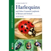 Harlequins and Other Common Ladybirds of Britain and Ireland