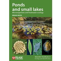 Ponds and Small Lakes