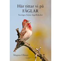 Här tittar vi på fåglar