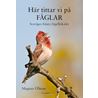 Här tittar vi på fåglar