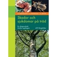 Skador och sjukdomar på träd