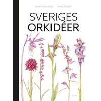 Sveriges orkidéer